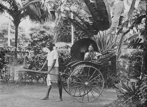 Çekçekteki Tamil Hanım, c1890, 1910