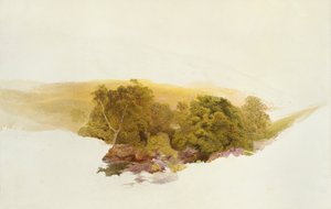 Martin Tepesi, Dockwigg, c1862 by Alfred William Hunt