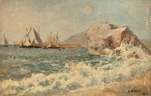 Nervi