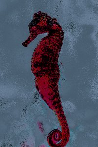 Denizatı, 2018 (elle yeniden boyanmış fotoğraf)