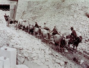 Carrara