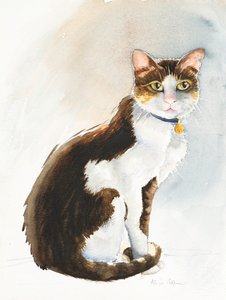 Suudi Kedi Dave, 2019 (sulu boya) by Alison Cooper