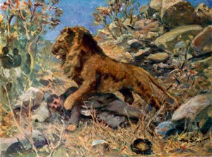 David Livingstone, Livingstone ve aslan (renkli taş)
