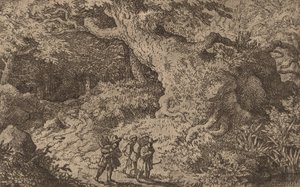 Kalın Bir Orman, muhtemelen c. 16451656. by Allart van Everdingen