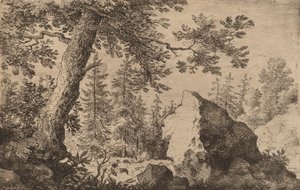 Boulder in the Woods, muhtemelen c. 16451656. by Allart van Everdingen