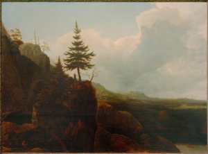 Bir köknar ağacı ile dağ manzarası by Allart van Everdingen