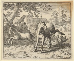 Renard, Aslan