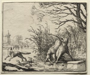 Tilki Reynard: Kurttan Yeni Bir Suçlama. by Allart van Everdingen
