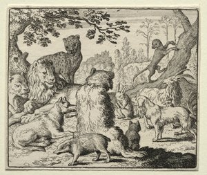 Tilki Reynard: Aslan, Reynard