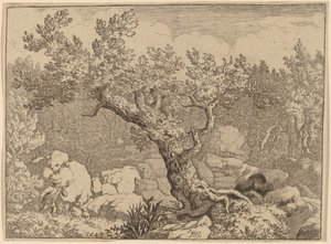 Büyük Bir Ağacın yanında Sporcu, muhtemelen c. 16451656. by Allart van Everdingen