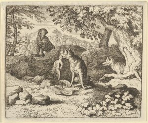 Porsuk, Renard