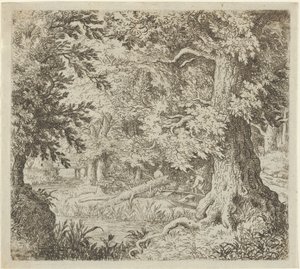 Ormandaki Dere, 17. yüzyıl. by Allart van Everdingen