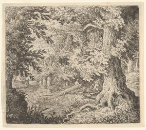 Ormandaki Dere, 17. yüzyıl. by Allart van Everdingen