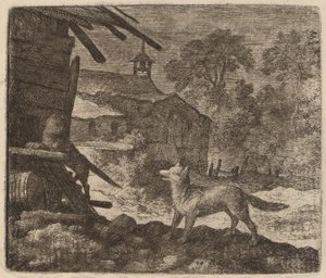 Kedi, Reynard