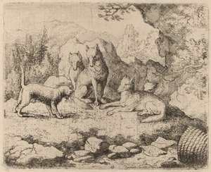 Haberci Olarak Gönderilen Kedi, muhtemelen c. 16451656. by Allart van Everdingen