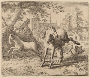 Kısrak ve Kurt, muhtemelen c. 16451656. by Allart van Everdingen