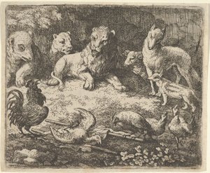 Horoz, Renard
