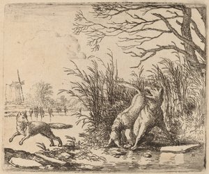 Buzdaki Kurtlar, muhtemelen c. 16451656. by Allart van Everdingen