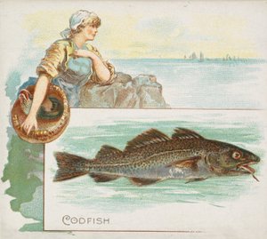 Allen & Ginter Cigarettes için American Waters serisi N39