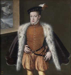 Don Carlos, Asturias Prensi, 1555-1559 by Alonso Sánchez Coello