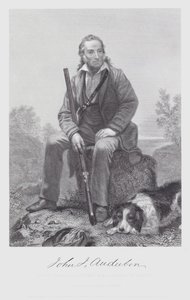 John James Audubon (gravür) by Alonzo (after) Chappel