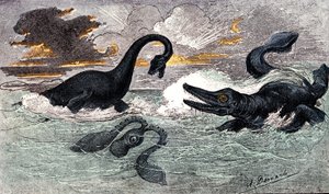 Lias Dönemi (Alt Jura): Plesiosaur ve Ichtyosaur, doğal yaratılış ve canlılar (Jules Rengade tarafından) Çizim A. Demarle. 1885