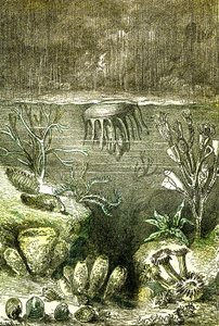 Prehistoire-Terre et Mers: Silüriyen döneminin başlangıcı (J. Rengade. Demarle'nin çizimi. 1885) by Alphonse Demarle