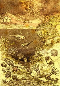 Tarih Öncesi-Silüriyen Dönem Sonu: Doğal Yaratılış ve Canlılar (J. Rengade) Çizim A. Demarle. 1885 by Alphonse Demarle