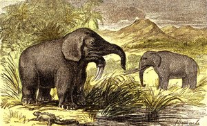 Tarih Öncesi-Miyosen Dönem: Sağdan sola: Dinotherum ve Mastodonte. Doğal Yaratılış ve canlılar. A. Demarle tarafından çizim. 1885