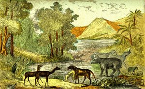 Tarih Öncesi-Eosen dönemi: Sağdan sola: Paloeotherium, Anoplotherium, Xiphodonts ve Tantalus kuşları. Doğal yaratılış ve canlılar. A. Demarle'ın çizimi. 1885
