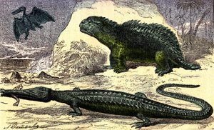 Tarih Öncesi - Jura Dönemi: Teleosaur ve Hyleosaur. Üst kattaki Pterodactyl. Doğal Yaratılış ve Canlılar. A. Demarle'ın çizimi. 1885