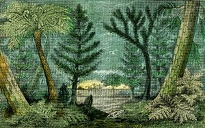 Tarih öncesi, kömür dönemi: Kömür döneminin Marecage ve sondajı (J. Rrengade) by Alphonse Demarle