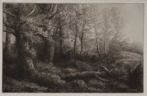 Woodland Çalışması by Alphonse Legros