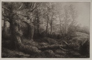 Bir Woodland Çalışması. by Alphonse Legros