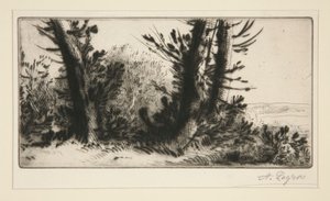 Bir travers şampiyonu (Ülke Boyunca) by Alphonse Legros