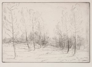 Kavak Bulvarı by Alphonse Legros