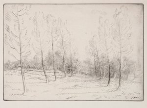 Kavak Bulvarı. by Alphonse Legros