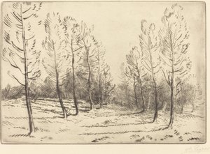 Kavak Bulvarı Kavak sokağı. by Alphonse Legros