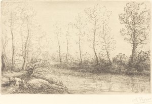 Huş Ağaçları: Sabah Işığında Görülen Su Kenarı Huş Ağaçları: Sabah Işığında Görülen Su Kenarı. by Alphonse Legros