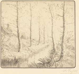 Su Boyunca Huş Ağaçları by Alphonse Legros