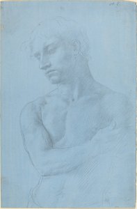 Çıplak Adamın Büstü by Alphonse Legros