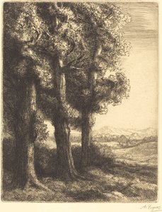 Bir Wood Coin d