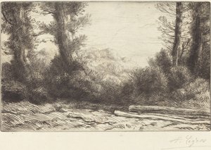 Bir Ahşap Ağaç İşlemenin Kenarı. by Alphonse Legros