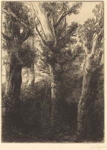 Alman Ormanı, Downley. by Alphonse Legros