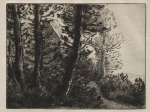 Bekçi evi by Alphonse Legros