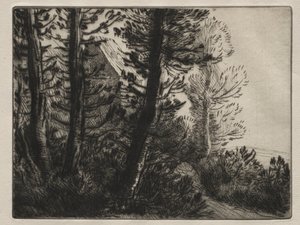 Bekçi evi. by Alphonse Legros