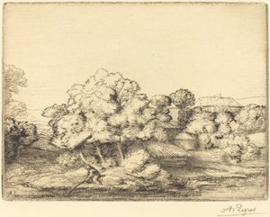 Gölün yakınında Hamlet by Alphonse Legros