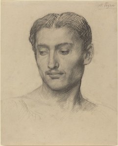 Genç Bir Adamın Başkanı. by Alphonse Legros