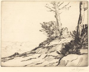 Bush La butte aux broussailles ile Tepe. by Alphonse Legros