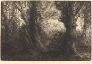 Conteville Ormanında (Dans la foret de Conteville) by Alphonse Legros